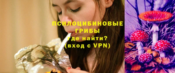 твердый Алексеевка