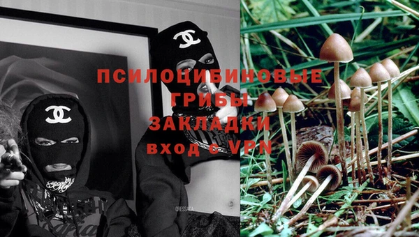 ECSTASY Аркадак